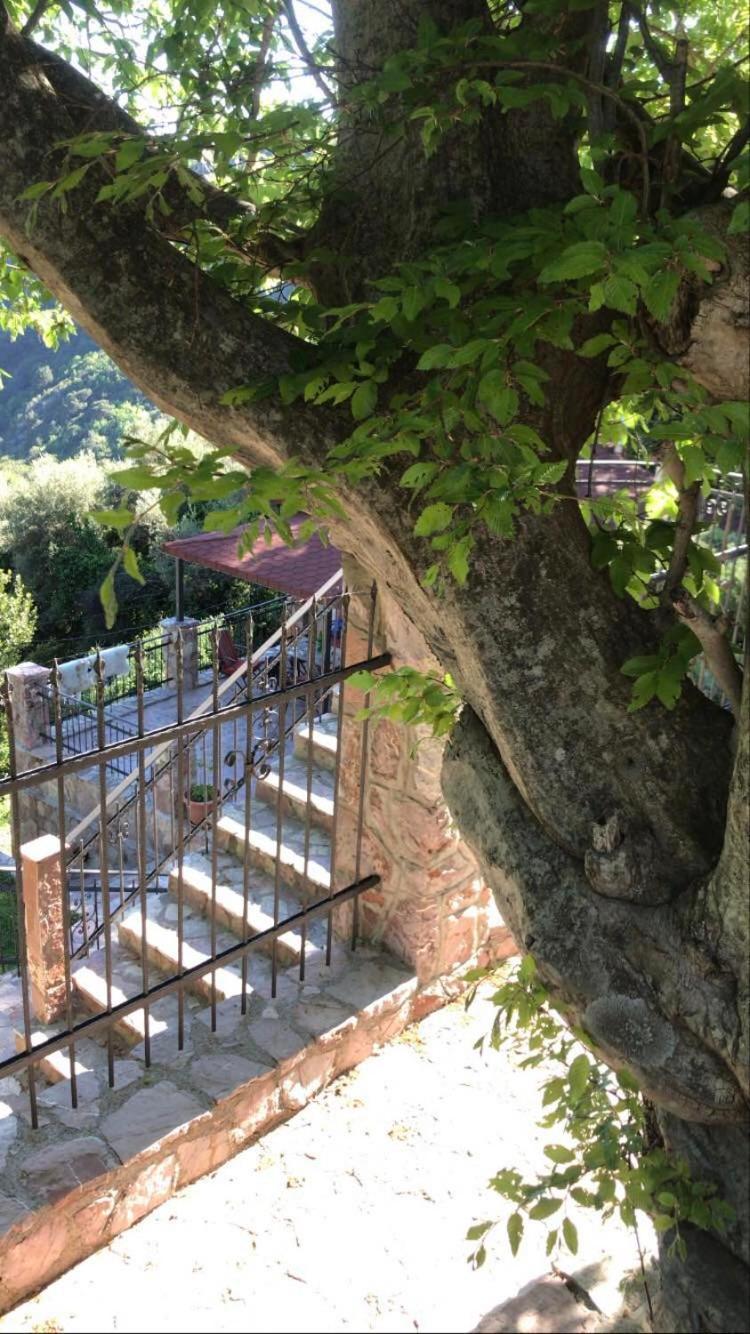 Holiday Home La Musica Budva Rom bilde